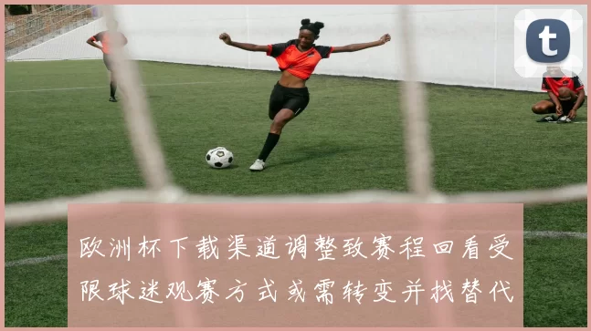 欧洲杯下载渠道调整致赛程回看受限球迷观赛方式或需转变并找替代渠道